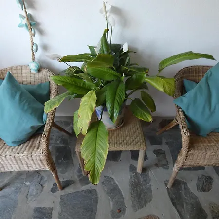 Lolo De Design Con Piscina, Jardin Y Parking Exclusivo